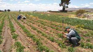 Agro Rural inicia ronda de diálogos para articular acciones en beneficio de productores agropecuarios