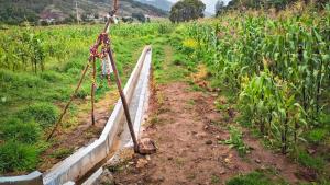 Agro Rural inició la construcción y rehabilitación de 129 kilómetros de canales de riego