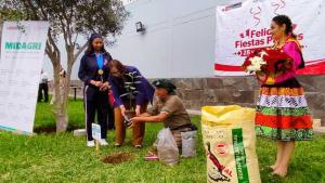 Agro Rural promueve repoblamiento forestal del árbol de la quina
