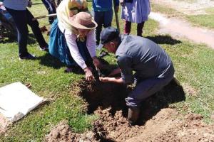 Agro Rural reforesta con 18.000 plantones de pino en zonas altas de Pariahuanca