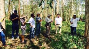 Agrobanco capacitará a 650 técnicos en manejo de sistemas forestales y buenas prácticas agrícolas