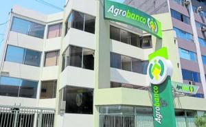 Agrobanco colocó más de 25 mil créditos con un desembolso de S/ 174 millones en 2020