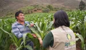 Agrobanco desembolsó S/ 6,750 millones en beneficio de 227.726 pequeños productores del 2002 a la fecha