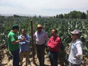 Agrobanco dispone apoyo a clientes afectados por lluvias y huaicos en Arequipa
