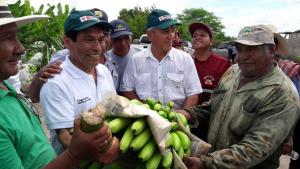 Agrobanco tendrá activa participación en la recuperación de áreas de cultivo en la costa norte