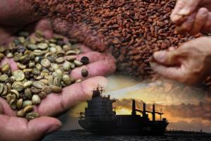 Agroexportaciones inician el 2023 con el pie izquierdo debido a menores despachos de café