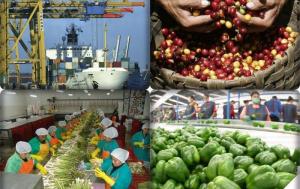 Agroexportaciones peruanas a los países del bloque APEC crecieron un 12.5% promedio anual desde 1998