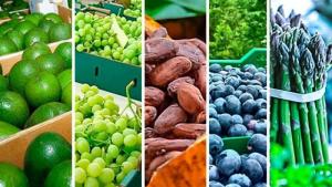 Agroexportaciones peruanas alcanzaron los US$ 6.478.900.000 entre enero y julio de 2025, registrando un crecimiento de 19.9%