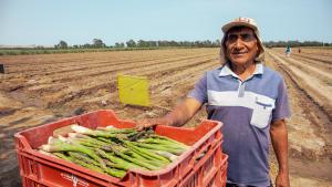 Agroideas cofinanció más de S/373.5 millones a la Mancomunidad de Los Andes