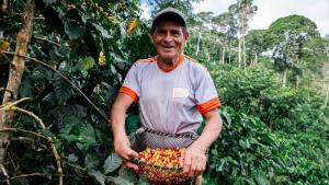 Agroideas ejecuta 149 planes de negocio en cadena de café entre enero y agosto