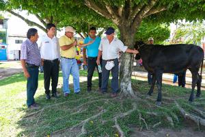 Agroideas invirtió S/ 1.6 millones en organizaciones agrarias de San Martín