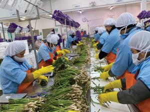Agroindustria fue el rubro más intensivo en mano de obra en el primer bimestre del año