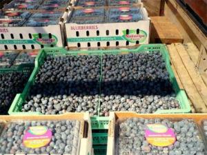 Agroindustriales de Trujillo exportarán directamente a Miami desde el aeropuerto de Huanchaco