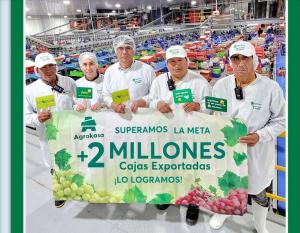 Agrokasa marca nuevo récord con más de 2 millones de cajas de uva de mesa exportadas