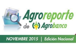 Agroreporte Noviembre 2015