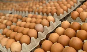 Alertan nuevo ingreso masivo de huevos de contrabando