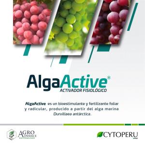 “AlgaActive”, bioestimulante de alga que equilibra funciones fisiológicas de las plantas a nivel celular
