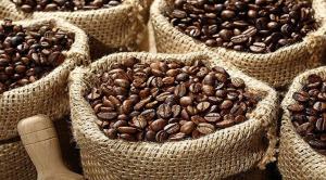 Amazonas: Cooperativa Bagua Grande exportará café a Irlanda por US$ 200 mil