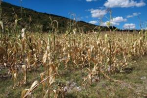 ANA IMPLEMENTARÁ OBSERVATORIO NACIONAL DE SEQUÍA