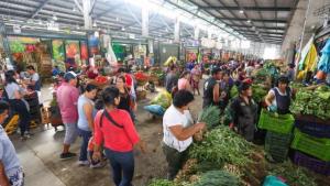 Análisis halla agroquímicos por encima del límite en muestras de frutas y verduras de Lima