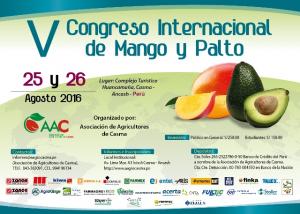 Áncash: agricultores de Casma realizarán congreso sobre mango y palta