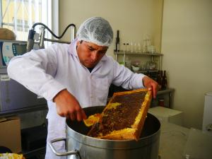 Áncash: apicultores exhibieron más de 30 variedades de miel