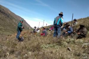 Áncash: mejorarán producción agrícola de papa, trigo y cebada en Yungay