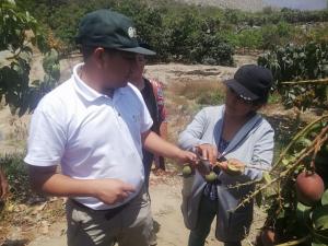Áncash: mujeres se capacitan en cultivos frutícolas de exportación