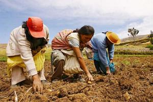 Aprueban la Estrategia denominada “Emprendimiento de la Mujer Rural e Indígena”, para el año 2022
