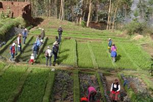 Apurímac invirtió S/ 61.7 millones de regalías mineras en desarrollo económico