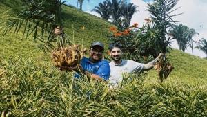 Aranceles estadounidenses elevan los precios del jengibre brasileño favoreciendo al producto peruano