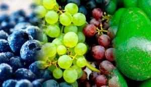 Arándanos, uvas frescas y paltas frescas lideraron despachos no tradicionales de enero a noviembre de 2023