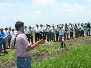 Arequipa: Serviagro brindará asistencia técnica para desarrollar cadenas productivas