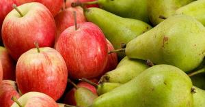 Argentina produciría más de 610.000 toneladas de peras y 570.000 toneladas de manzana en la campaña 2020/2021