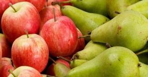 Argentina proyecta disminución en la comercialización de peras y manzanas durante 2021