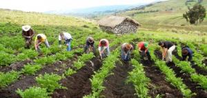 Arrancó implementación de proyectos para la producción resiliente de alimentos