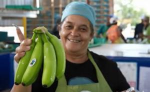 Asociaciones bananeras de Latinoamérica llaman a supermercados a asumir compromisos reales