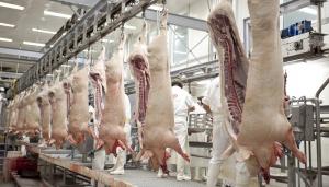 Asoporci: Consumo de carne de cerdo alcanzaría los 18 kilos por persona al año en 2030