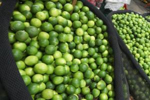 Aumentó el abastecimiento de limón y se vende a menos de S/ 4.00 kilo en el Mercado Mayorista de Lima