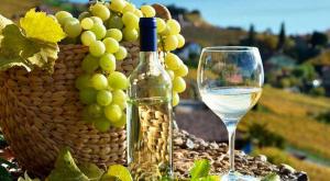Autoridades de Ica invocan a no utilizar uva de mesa en la producción de Pisco