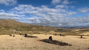 Ayacucho: agricultores se benefician con 1.300 hectáreas de recuperación y manejo de praderas