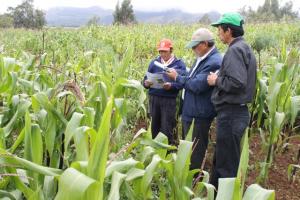 AYACUCHO: PRODUCTORES AGRARIOS SE BENEFICIAN CON CLÍNICA DE PLANTAS