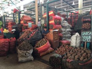 Ayer ingresaron más de 7.000 toneladas de alimentos a mercados mayoristas de Lima