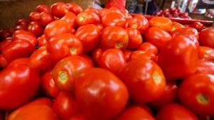 Ayer ingresaron más de 7 mil toneladas de alimentos a los mercados mayoristas de Lima