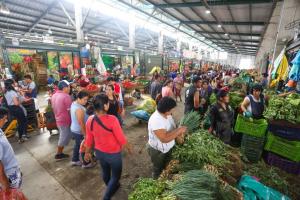 Ayer ingresaron más de 8.700 toneladas de alimentos a mercados mayoristas de Lima