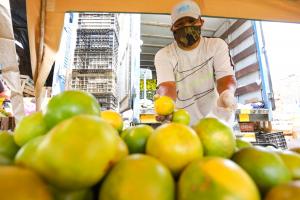 Ayer ingresó cifra récord de 12 mil toneladas de alimentos a mercados mayoristas de Lima