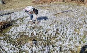 Bajas temperaturas ponen en riesgo a 3.6 millones de hectáreas agrícolas en Perú