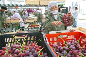 Balanza comercial cerrará el 2019 en positivo