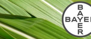 Bayer: ganancias del sector agricultura se mantendrán estancadas