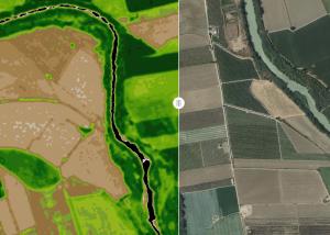 Bayer implementa  programa para el monitoreo satelital este año